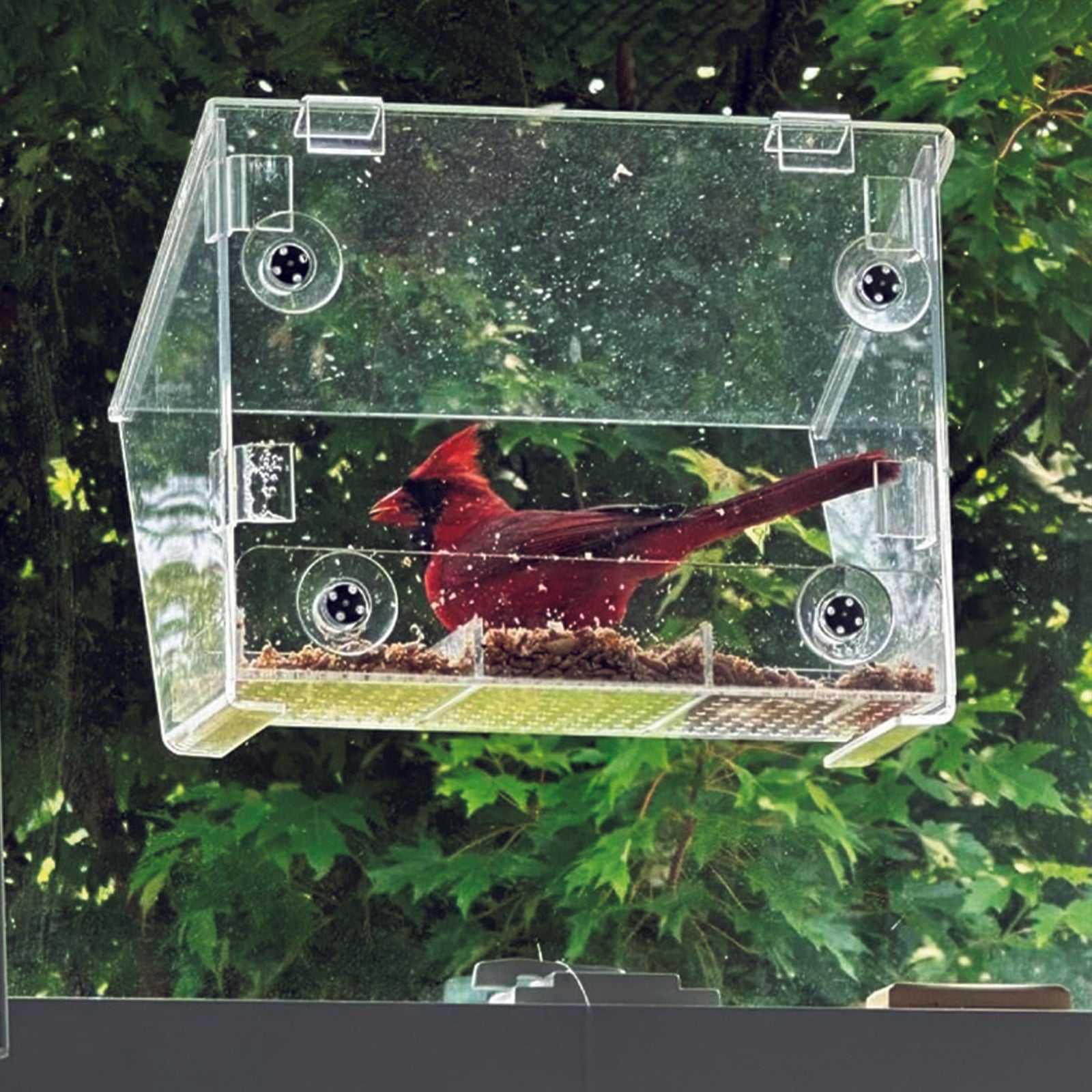 Ermete Hummingbird Feeder, Window Hummingbird  