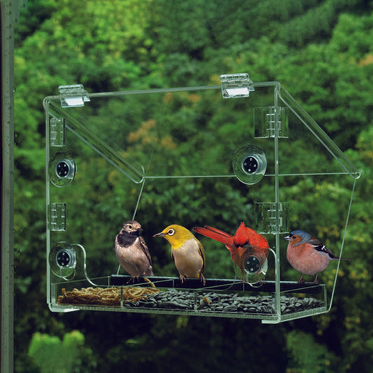 Ermete Window Bird Feeders with Strong Suction Cups (9.9in ×8.1in ×3.7in)