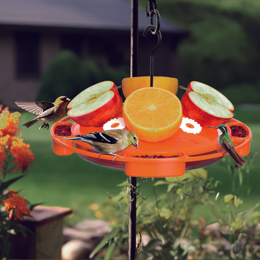 Ermete Fruit Hummingbird feeder