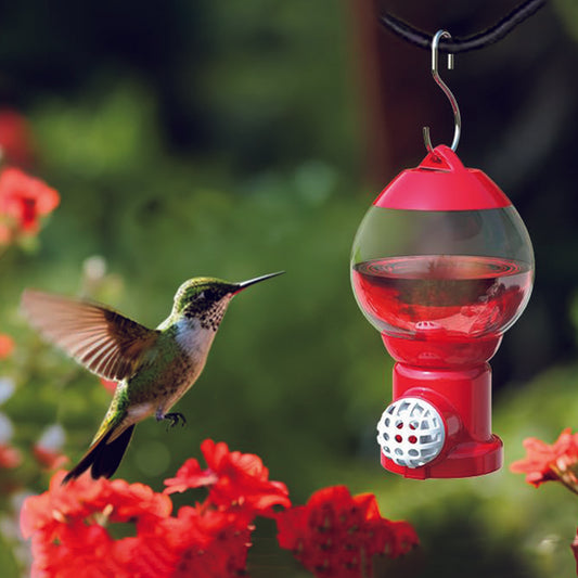Ermete Cute Hummingbird Feeder